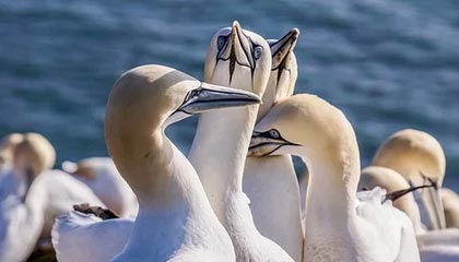 开云-与其对中国足球悲观叹息，不如脚踏实地干点什么